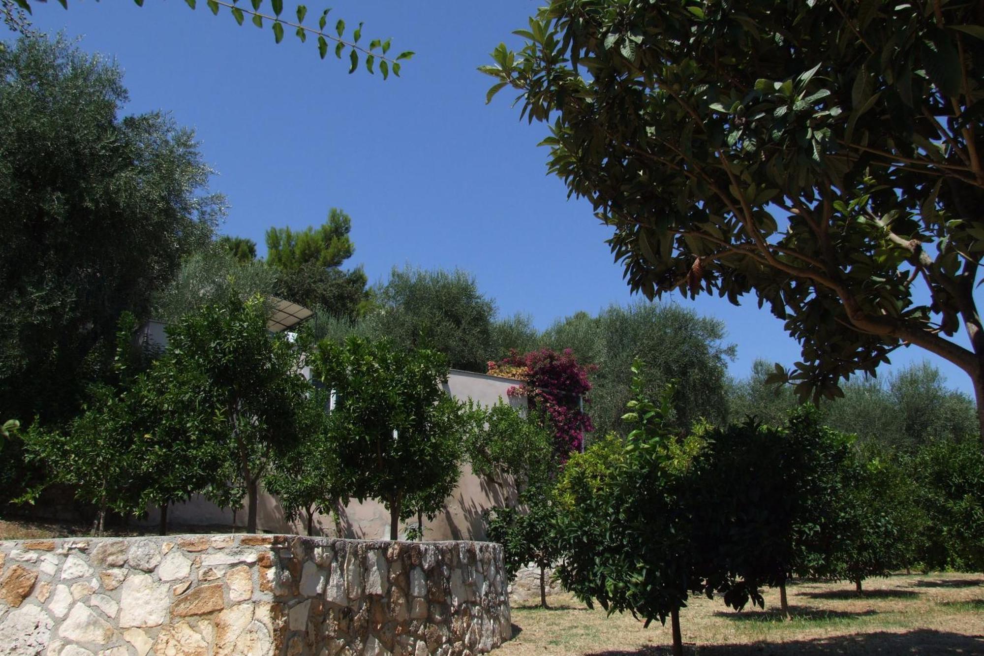Villaggio Hotel Ripa Rodi Garganico Exteriér fotografie